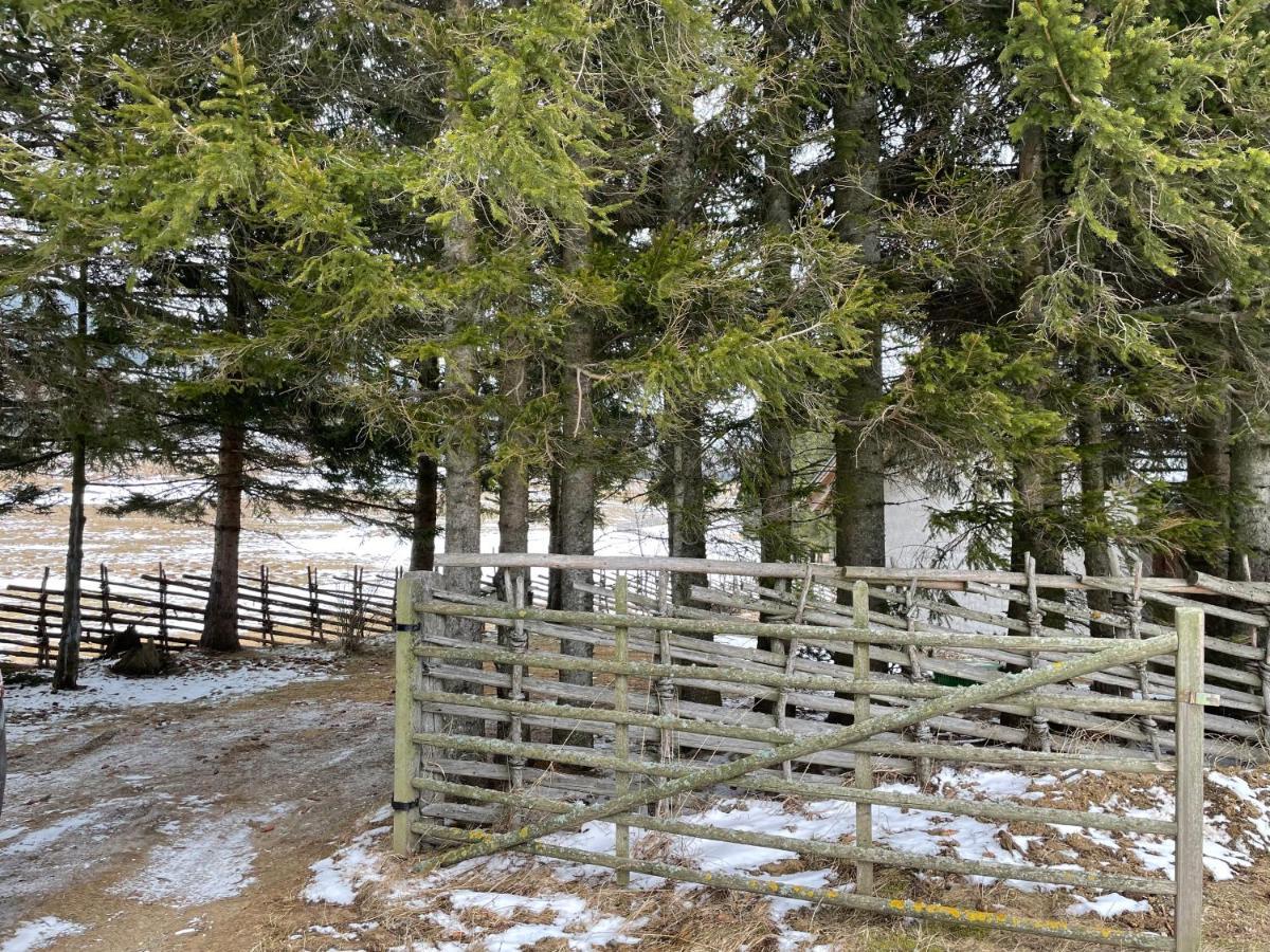 Teichalm Lodge Landhaus Fladnitz an der Teichalm Eksteriør bilde